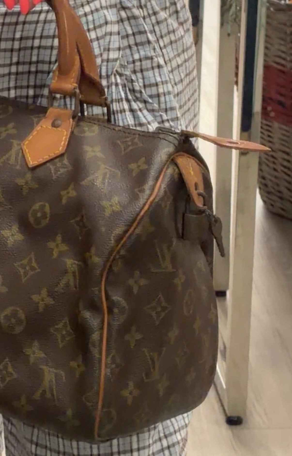 Bolso Louis Vuitton Speedy 30